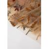 imageCHICWISH Women Floral Embroidered Tulle Skirt Flared A Line High Elastic Waist Mesh DoubleLayered Midi SkirtCamel