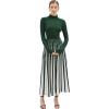 imageCHICWISH Womens Stripe Print Turtleneck Knit Midi DressDark Green