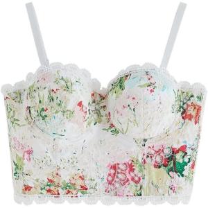 imageCHICWISH Womens Monet Garden Floral Embroidered Bustier Crop TopMonet Garden