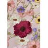 imageCHICWISH Women 3D Floral Applique Maxi Dress Shoulder Tie Strap Square Neck Elegant Party Long Mesh Tulle DressApricot